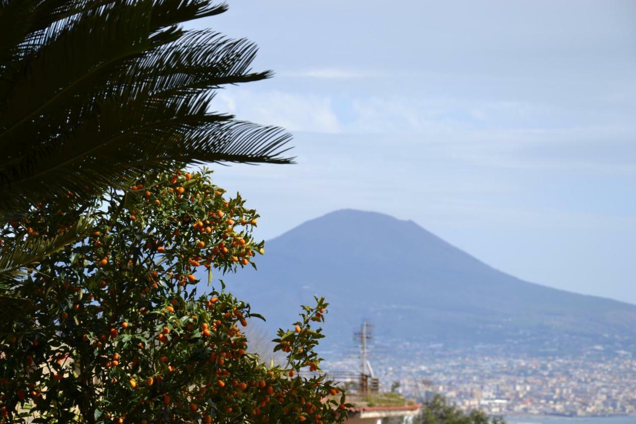 Casa Del Cedro Daire Napoli Dış mekan fotoğraf